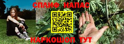 spice Севастополь