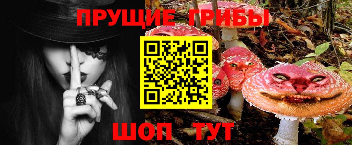 Северск  Галлюциногенные грибы Psilocybine cubensis  Вход с VPN  Галлюциногенные грибы Cubensis 